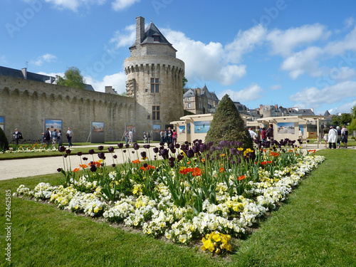 Tableau sur toile rempart de vannes tulipes noires 2