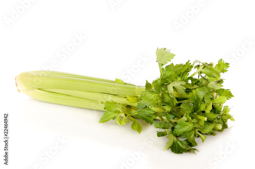 Green Celery vegetable