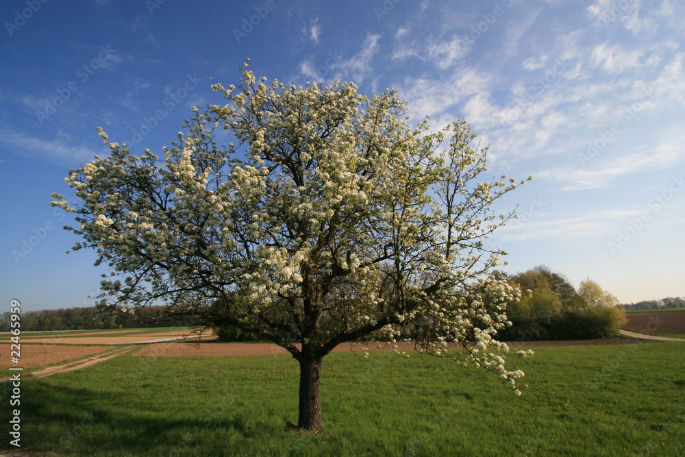 Rural  south Germany