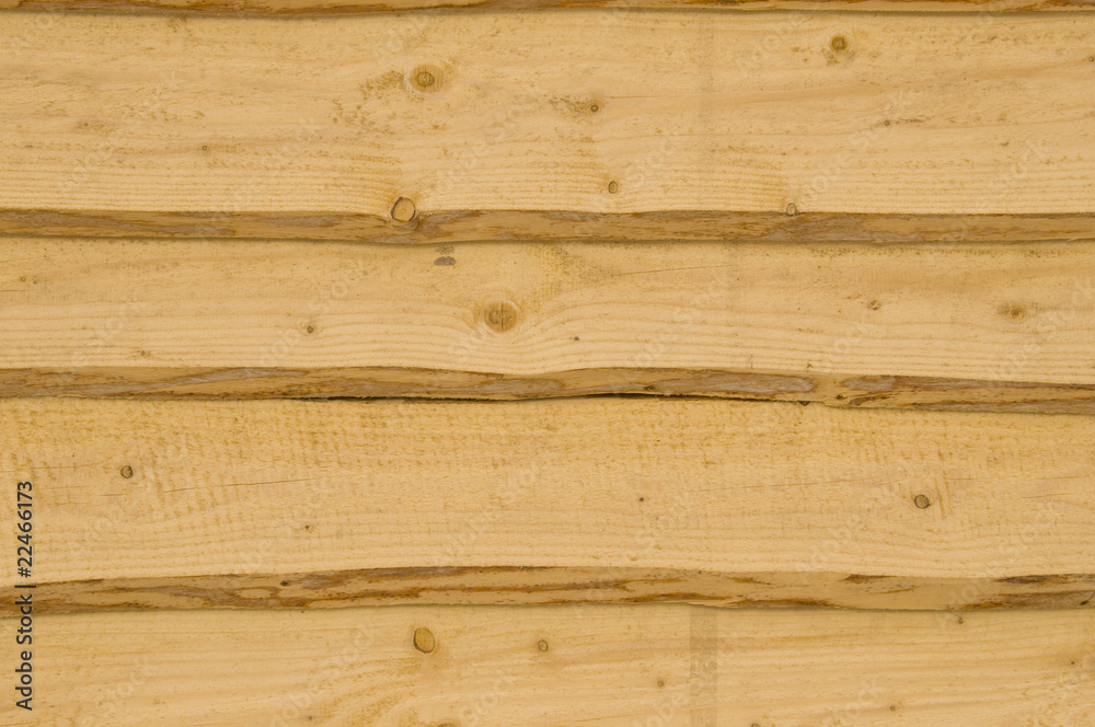 Fototapeta premium texture