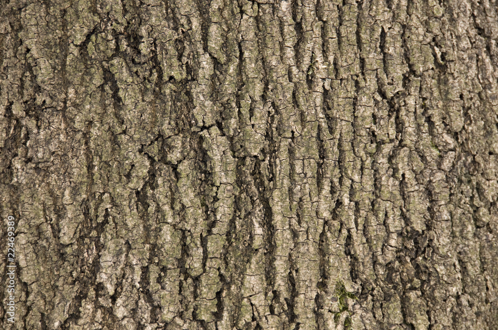Texture Texture