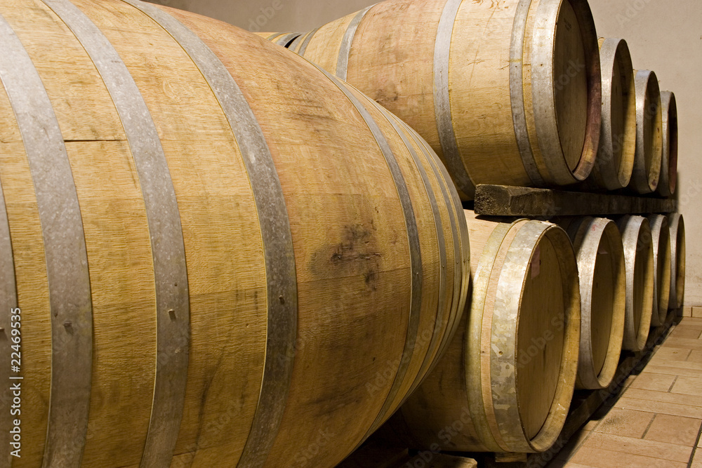 Oak barrels for aging wine Barolo