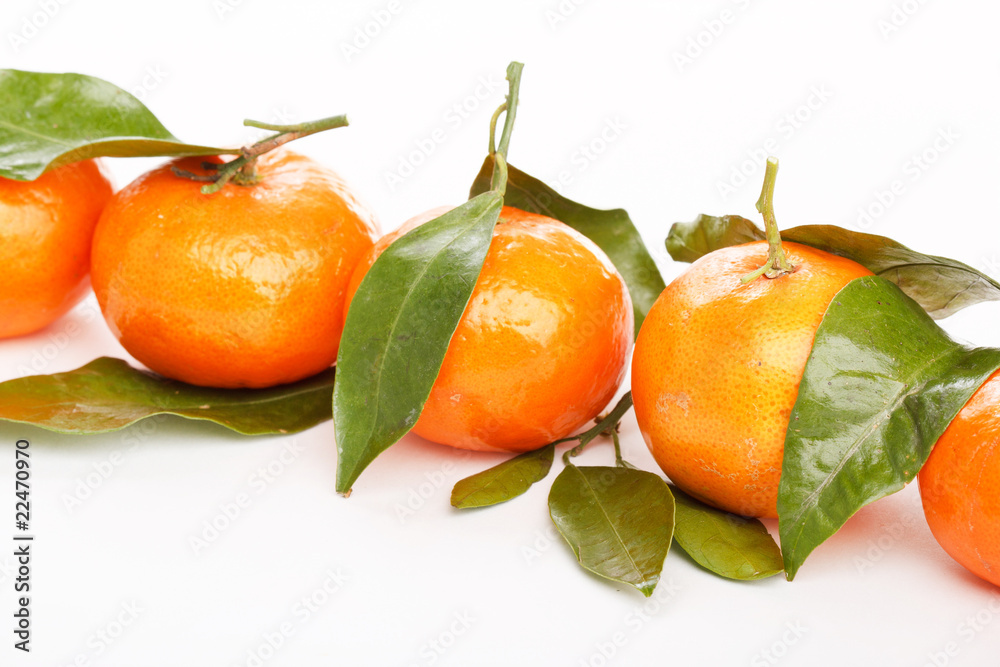 fresh mandarin fruits