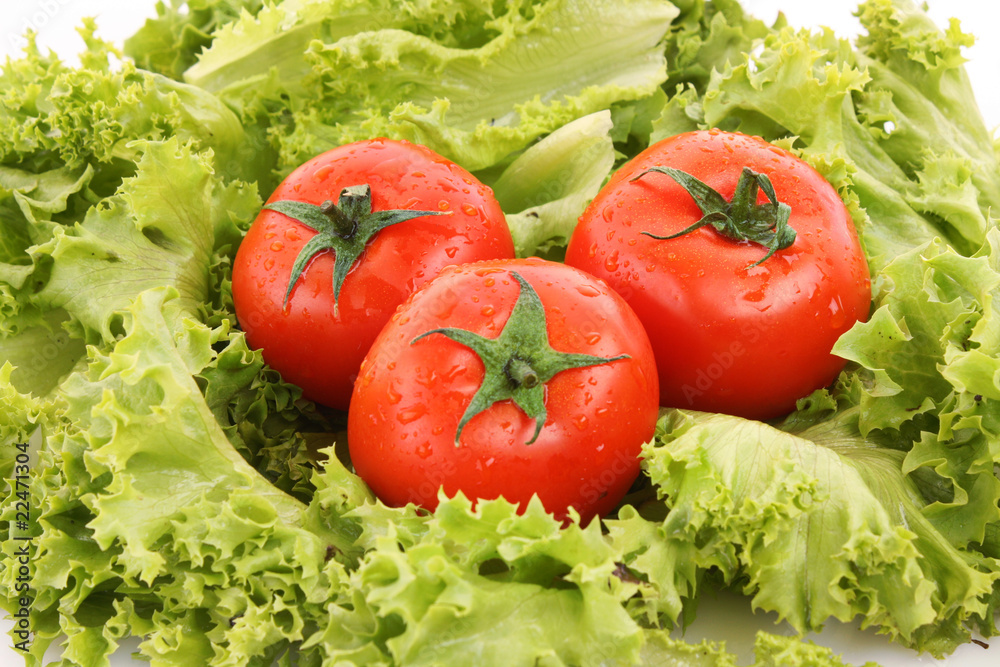 red tomato vegetables on the green salad background red tomato vegetables on the green salad background