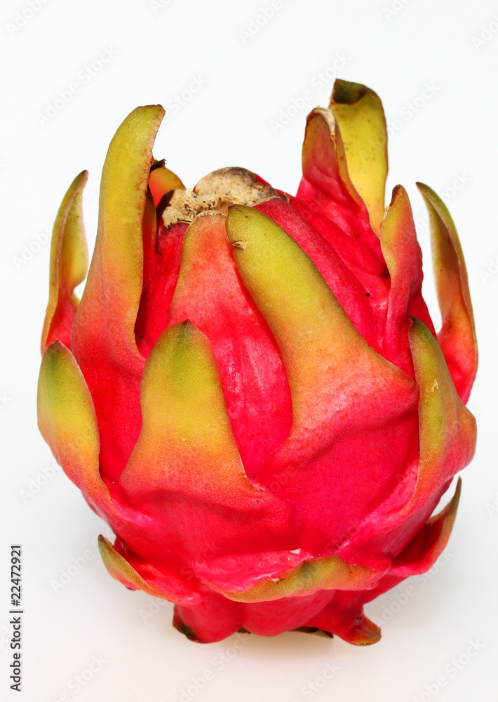 Dragon fruit Dragon fruit