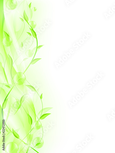 green leaf frame