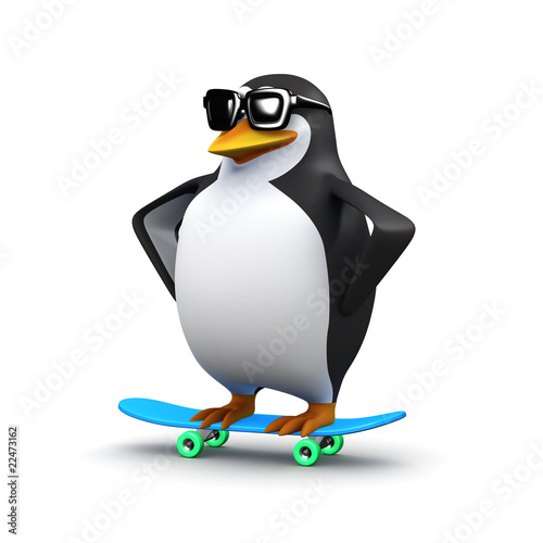 3d Skateboard penguin