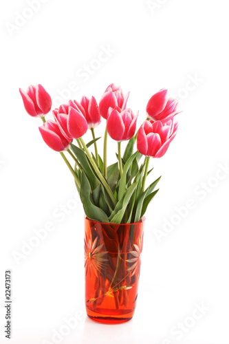 Beautiful pink tulips in vase isolated on white