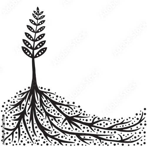 Plant and Roots Background