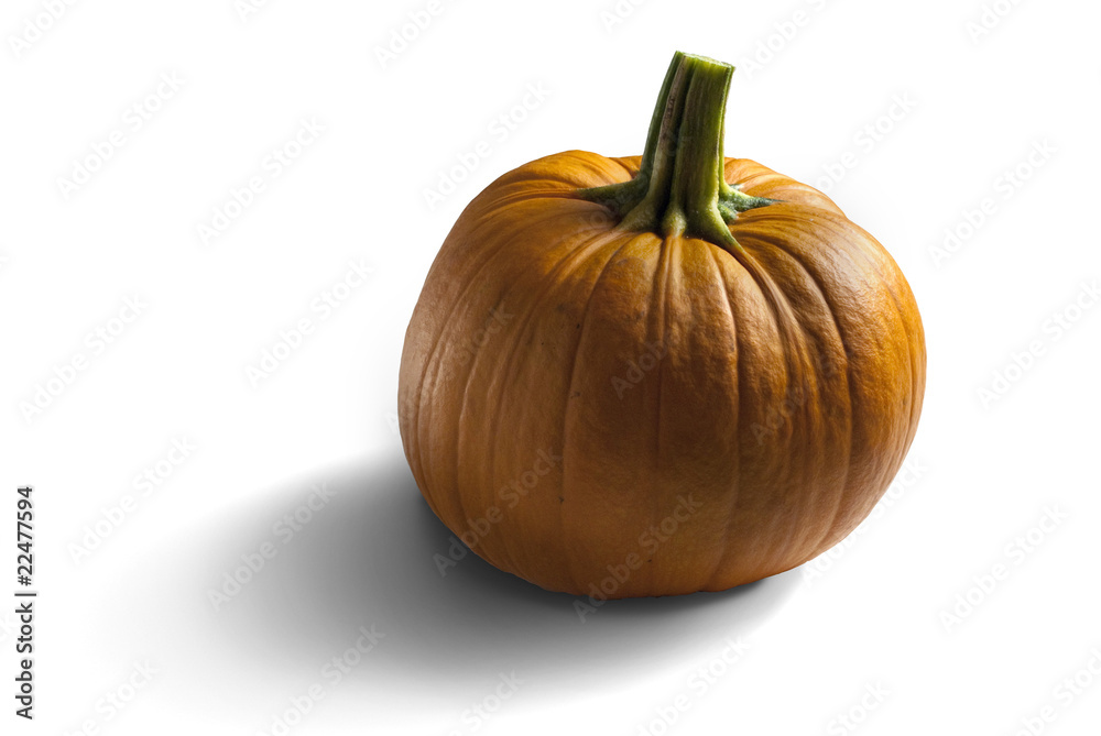 Pumpkin (Riesenkürbis) Pumpkin (Riesenkürbis)