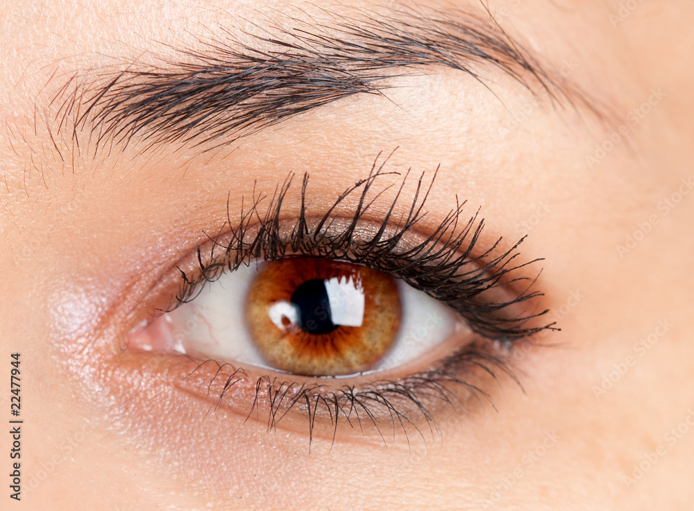beautiful make up eyeshadow. beautiful make up eyeshadow.