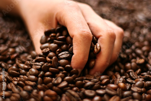 Women hand holding coffee beans background photo