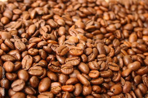 Fresh coffee beans background texture photo