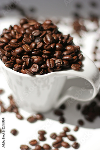 Fresh coffee beans in a white cup photo