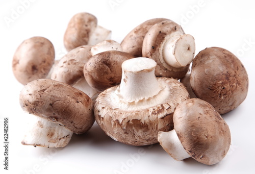 Mushrooms royal champignon on a white background