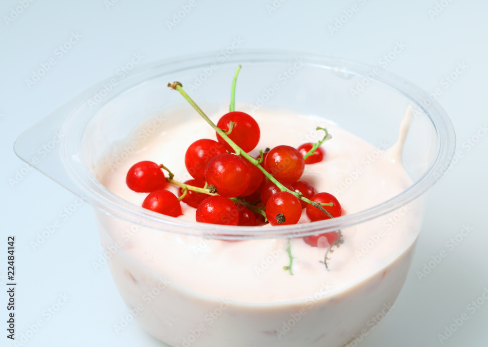Red currant and milk yogurt Red currant and milk yogurt