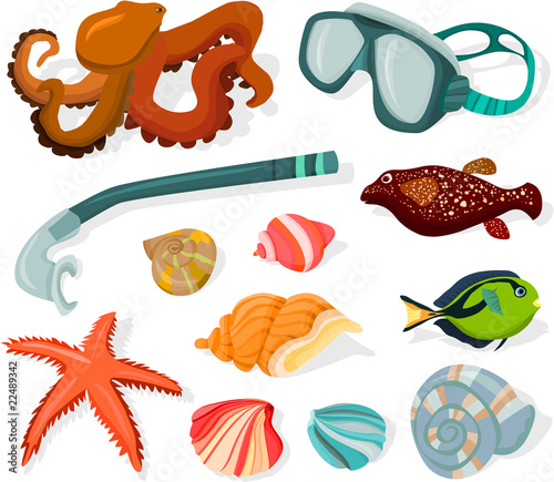 Set of a diving objects