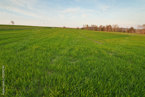 Photos Feld im Frühling