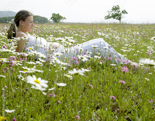 pregnat woman on meadow photo