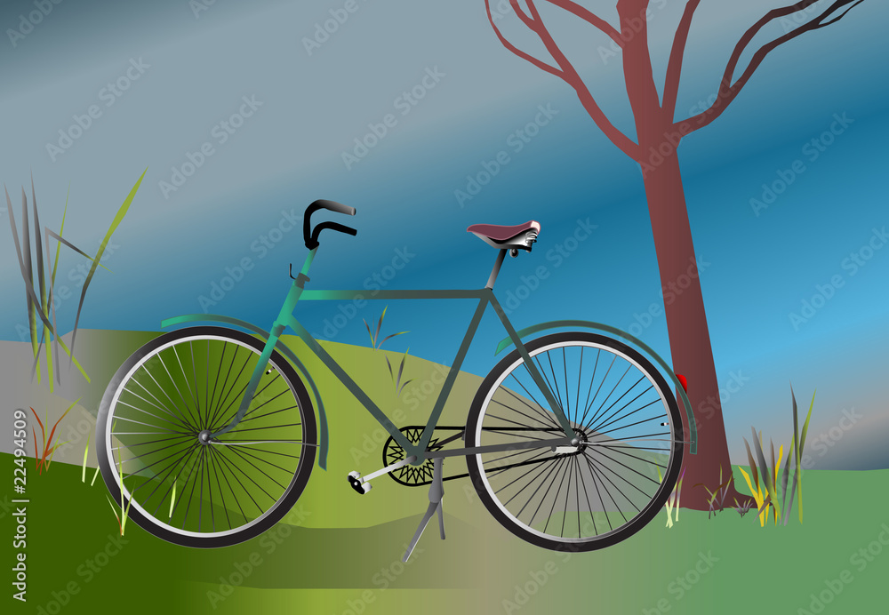 Fototapeta premium Bicycle parked by a tree in nature