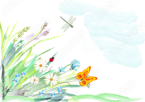 Flowers in a grass and insects, a water color