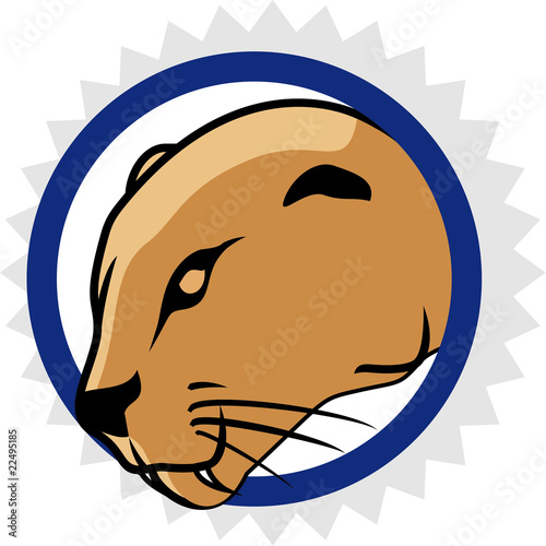 Lion mascot/logo for sport team