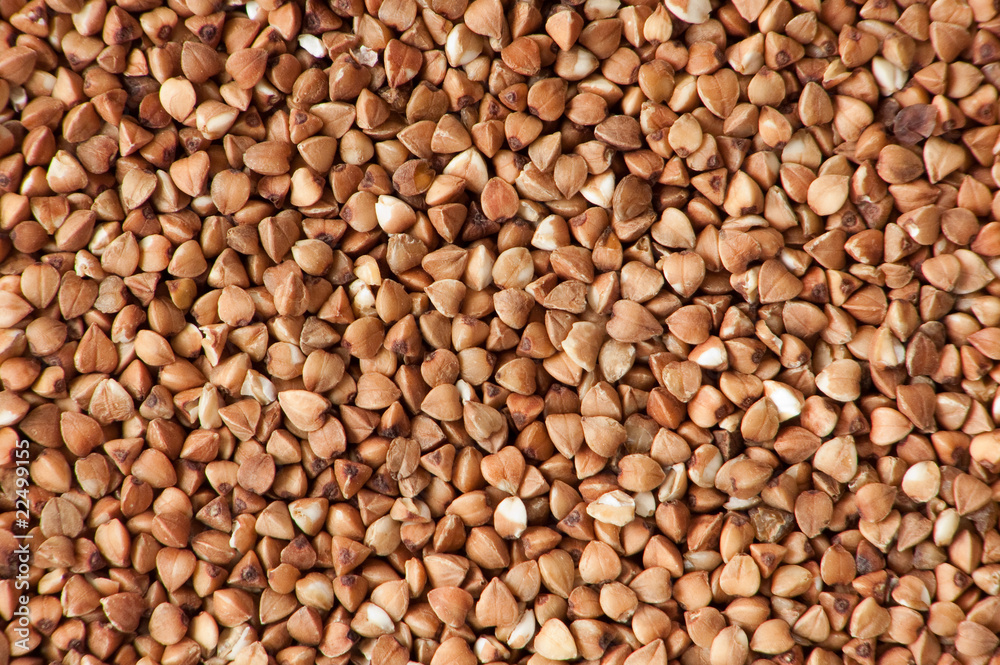 background of buckwheat background of buckwheat