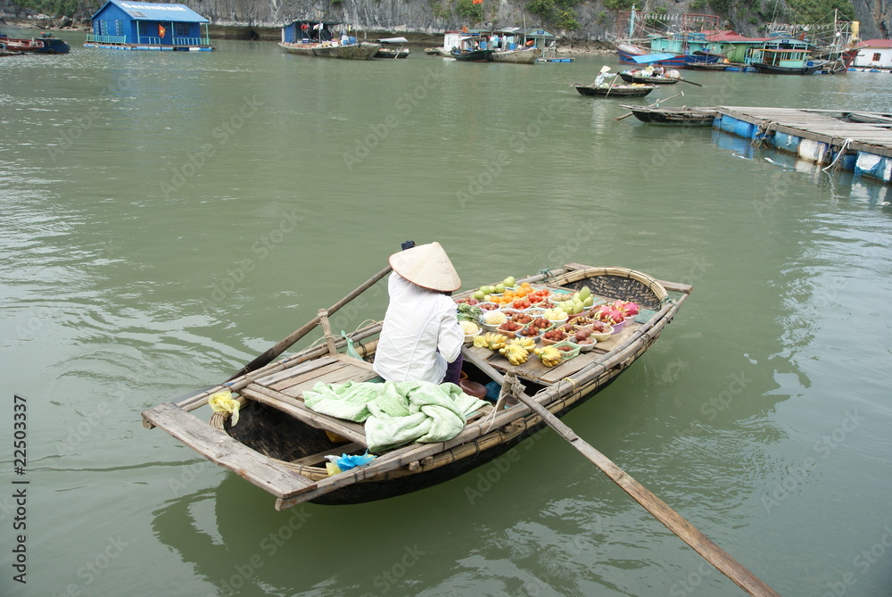 Obraz premium Ha long Bay in Vietnam