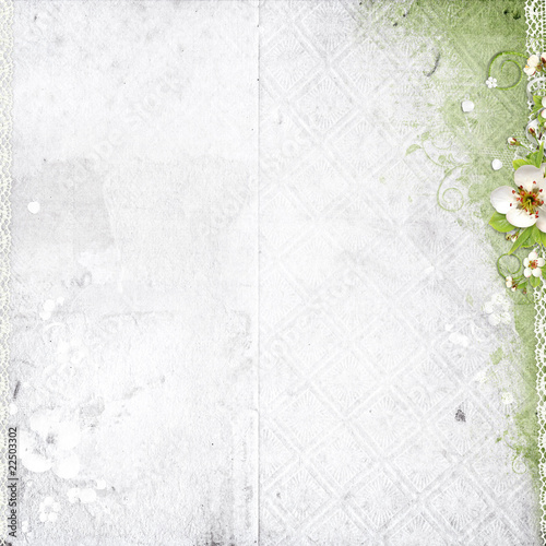 white background with apple tree flowers