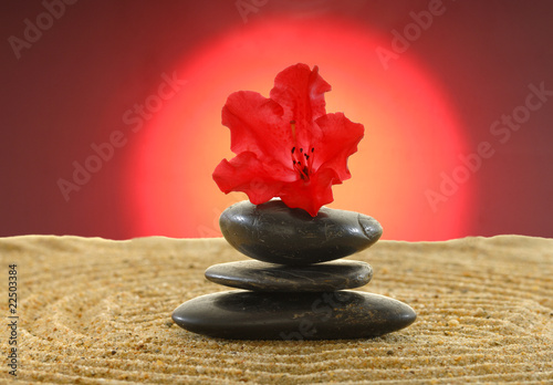 Bild auf Leinwand Hot Stones mit roter Azalee im Abendrot im Sand mit Spuren