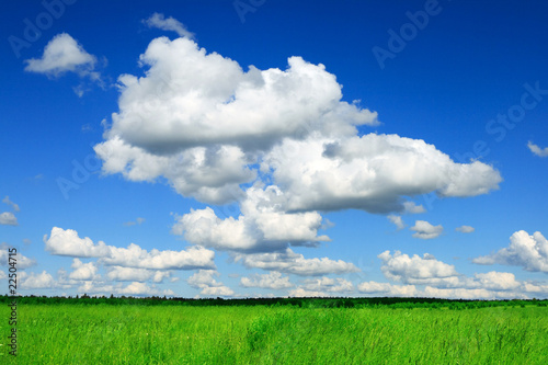 Bild auf Leinwand Green field and Blue Cloud Sky