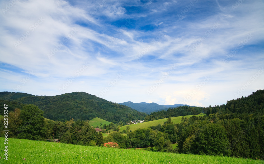 Obraz premium Summer Landscape