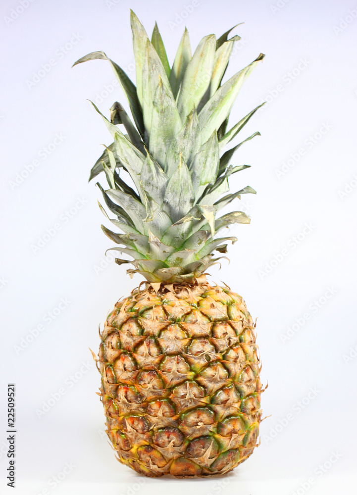 Fototapeta premium Ananas2