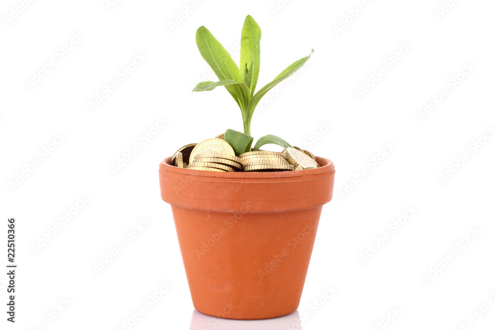 Euros im Topf Euros im Topf