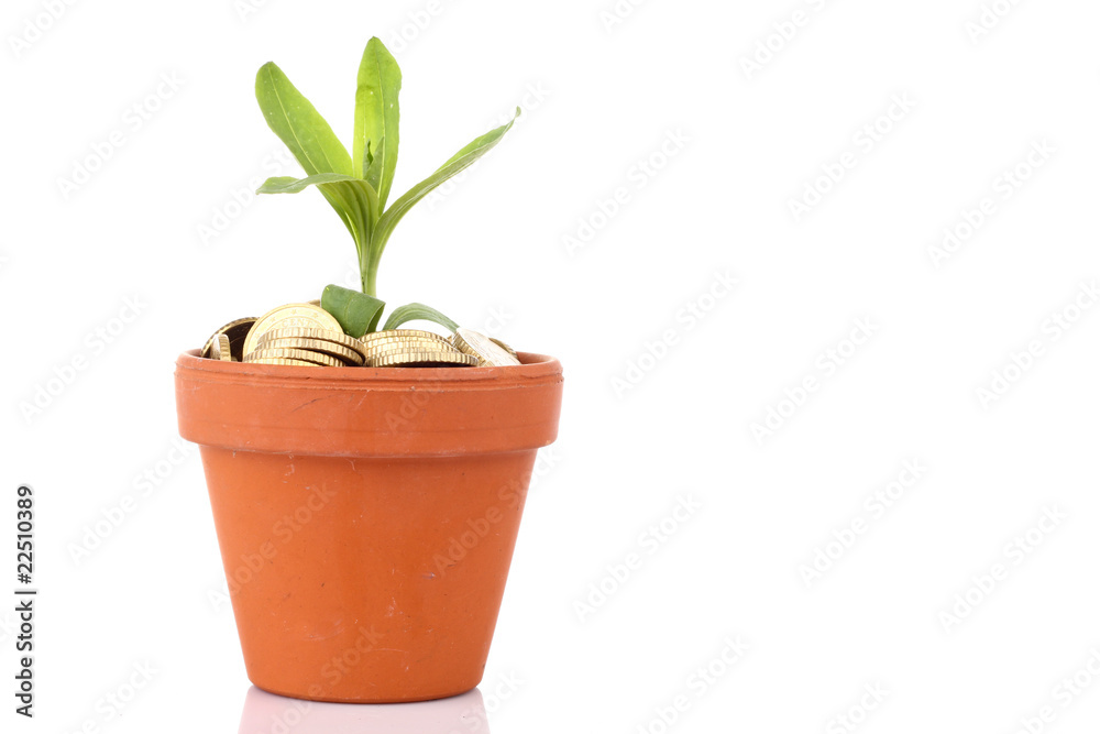 Euros im Topf Euros im Topf