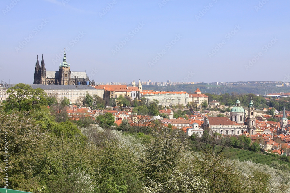Prague's gothic Castle with flowering trees and grass