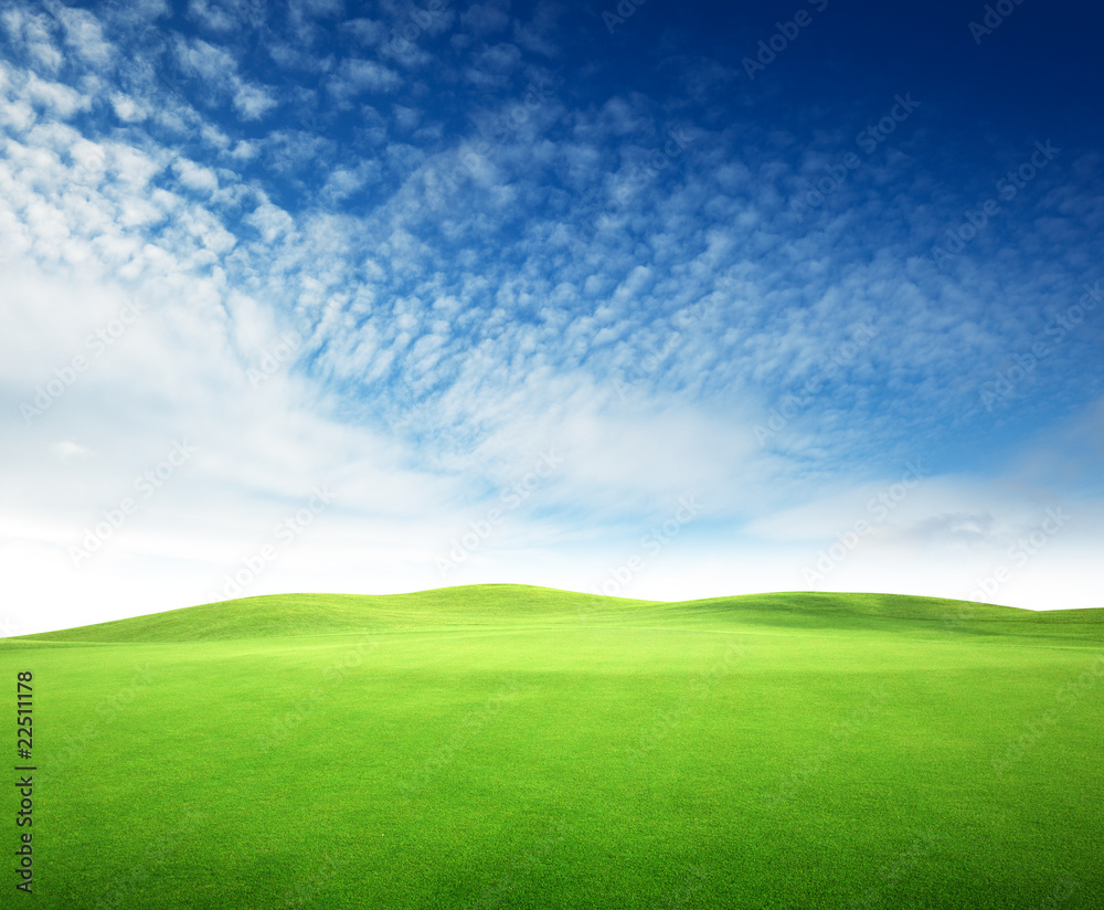 Fototapeta premium field of grass and perfect sunset sky