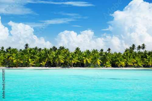 palms and caribbean sea © Iakov Kalinin