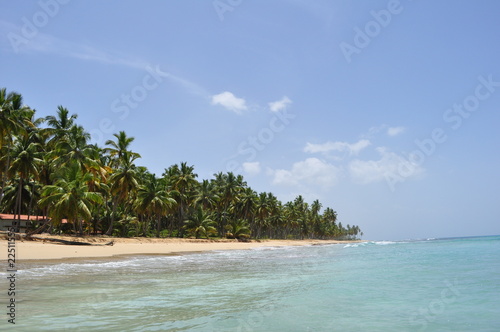 Playa Coson,Republica Dominicana photo