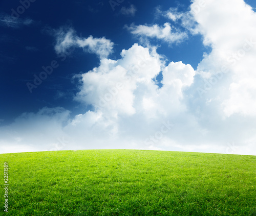 field of grass and perfect sunset sky