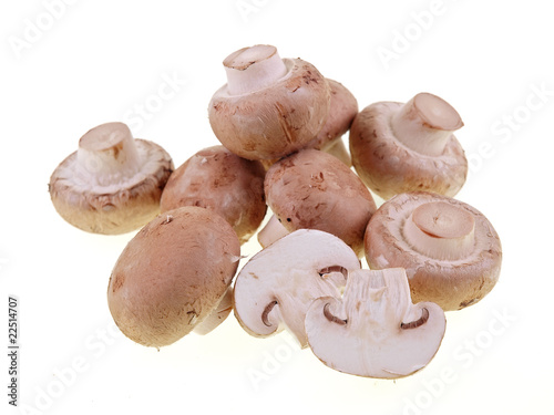 brown button mushrooms isolated on white background