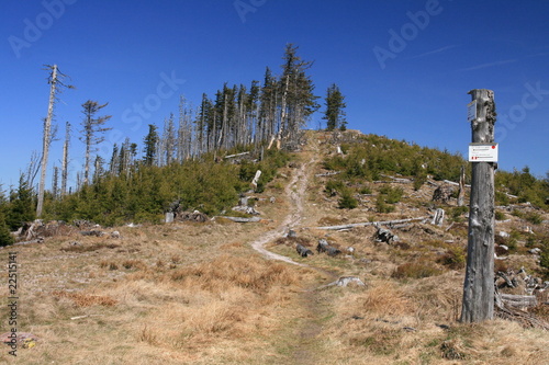 Le Petit Brézouard (alt 1203 m) photo