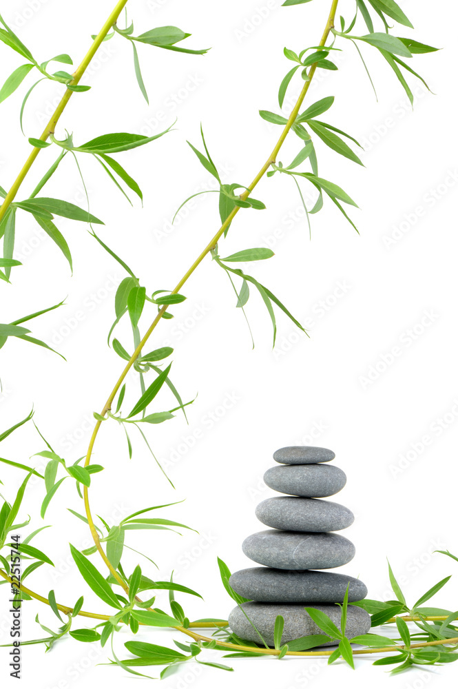 Branch of a tree of a willow and pebble Branch of a tree of a willow and pebble