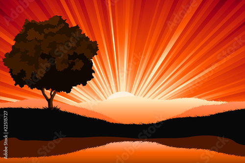 Amazing natural sunrise landscape with tree silhouette, vector i