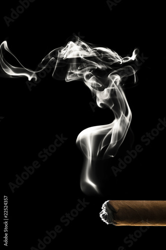 Quadro su tela Havana cigar smoking