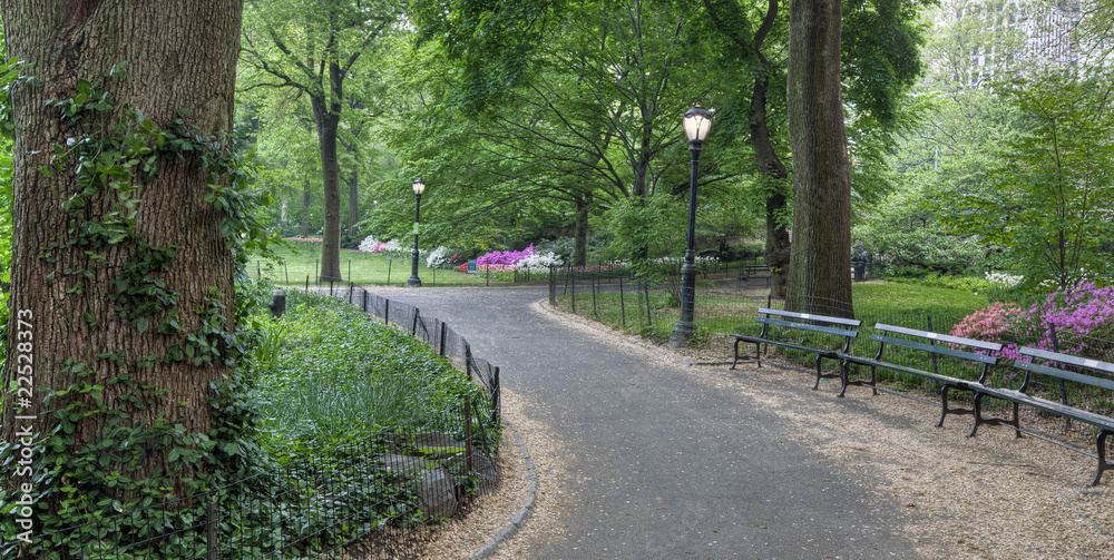 Naklejka premium Sidewalk in Central Park