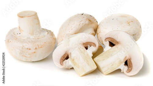 Edible white button mushroom