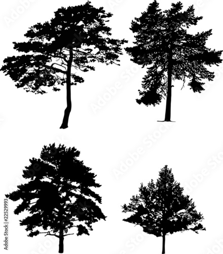 four pine silhouettes collection