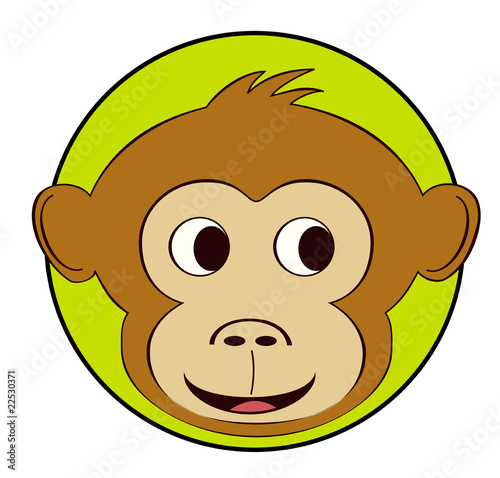 monkey