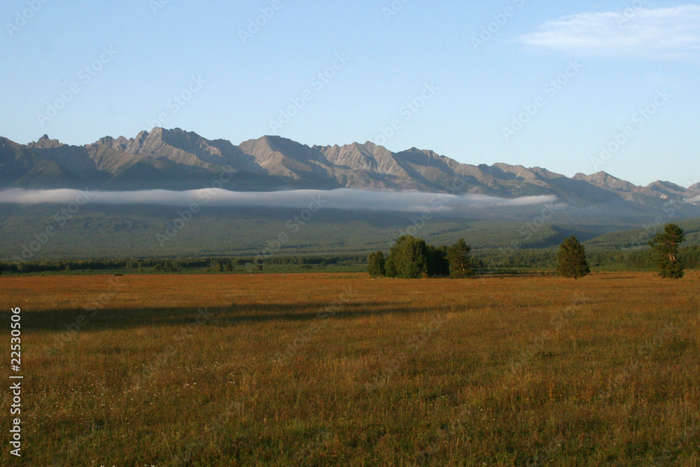 fog over the field